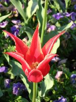 2006.04.24. - 1004 cm - 13.jpg